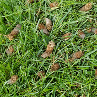 aeration