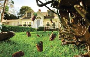 Tuff Green’s 6-Step Annual Lawn Care Program 7 2 1