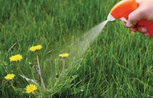 Tuff Green’s 6-Step Annual Lawn Care Program 5 2