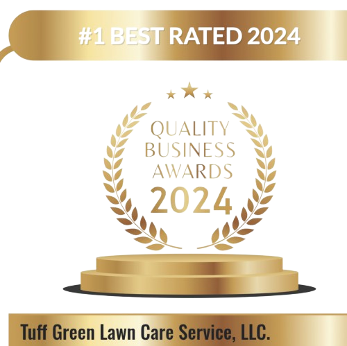 award removebg preview